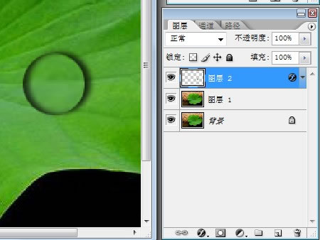 Photoshop简单制作荷叶上的水珠-PS制作教程