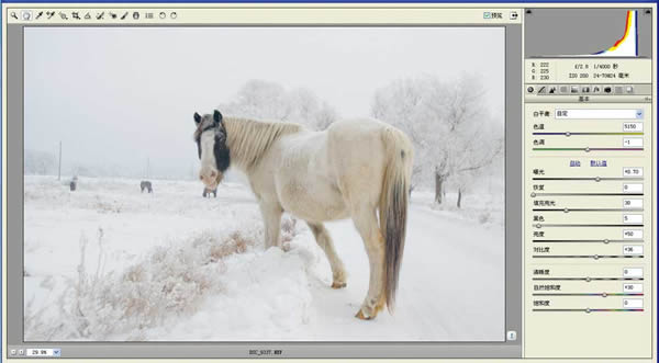 灰暗中制造淡雅意境——雪景照片的PS美化处理教程