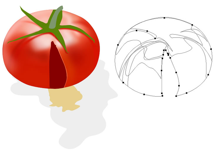 Photoshop绘画一个裂口的番茄－PS手绘教程